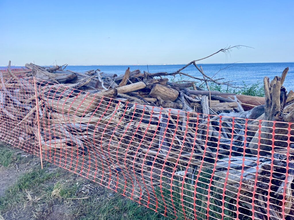 流木等 漂流物収集作業 三重県 鈴鹿市 土木一式工事 建設会社 土木 土木工事 造成工事 道路工事 宅地造成 河川工事 堰堤工事 舗装工事 排水路工事 擁壁工事 整地 重機